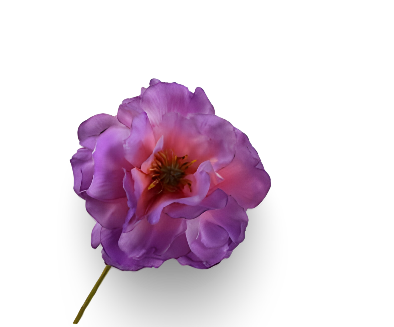 https://cdn.warentuin.nl/media/catalog/product/S/C/SCAN8718648547758_01_klaproos_steel_lavendel_rt_73_cm_silk_ka_cf33.png