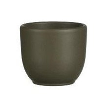https://cdn.warentuin.nl/media/catalog/product/S/C/SCAN8718861549140_edelman_kerstdecoratie_pot_tusca_d8_5h7_5_cm_groen_edelman_fee2.jpg