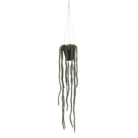 Rhipsalis hangend in pot groen l62xd9cm Mica Decorations