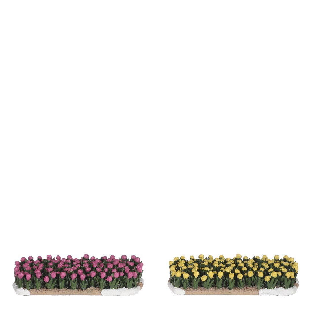 https://cdn.warentuin.nl/media/catalog/product/S/C/SCAN8718861977608_luville_collectables_collectables_tulip_field_2_pieces_l10xw4_6bc5.jpg