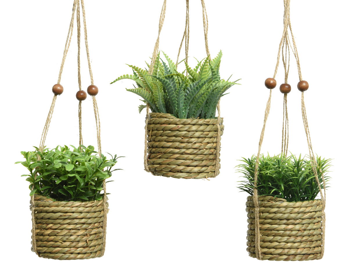 https://cdn.warentuin.nl/media/catalog/product/S/C/SCAN8719152854691_hangmand_plant_pe_d8h12cm_groen_a3_everlands_ad0f.jpg
