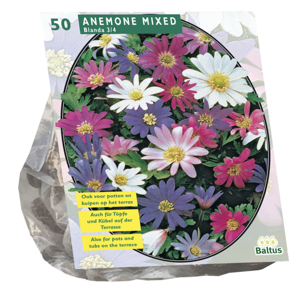 Anemone Blanda Mix per 50 bloembollen Baltus - Baltus