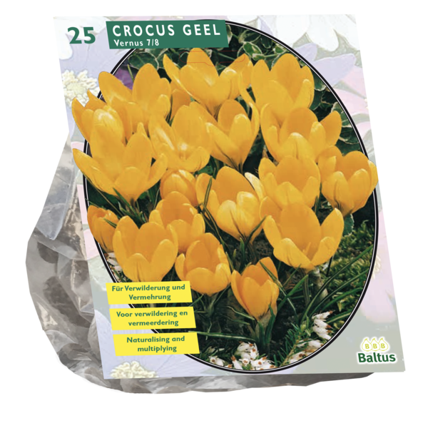 Crocus Grootbloemig Geel per 25 bloembollen Baltus - Baltus