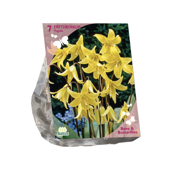 Bees & Butterflies Erythronium per 7 bloembollen Baltus - Baltus