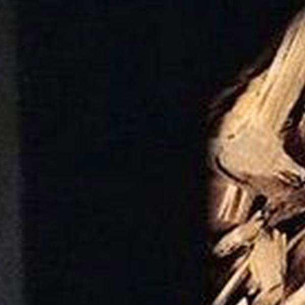 https://cdn.warentuin.nl/media/catalog/product/S/C/SCAN8719322168788_01_rookhout_oak_500gr_bbq_the_bastard_ade2.jpg
