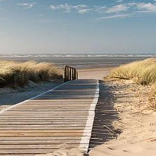 https://cdn.warentuin.nl/media/catalog/product/S/C/SCAN8719325525373_01_all_seasons_posters_tuinposter_houten_pad_in_duin_110x45_s_1934.jpg