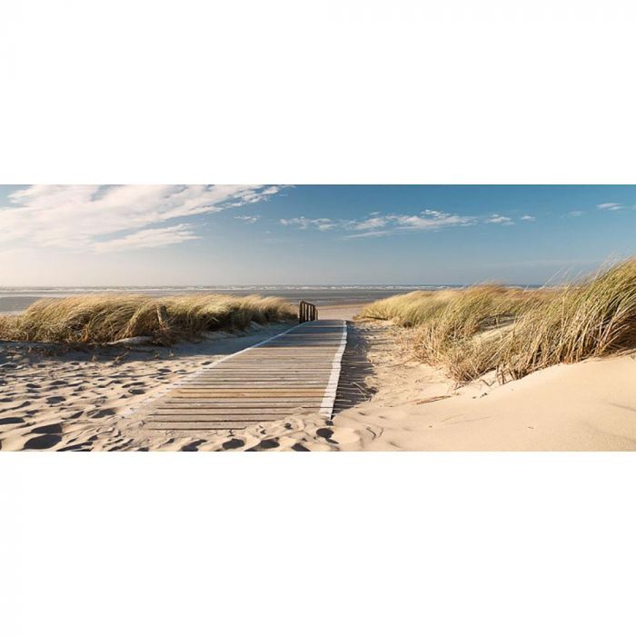 Hortus Tuinposter houten pad in duin 110x45 sterren - 