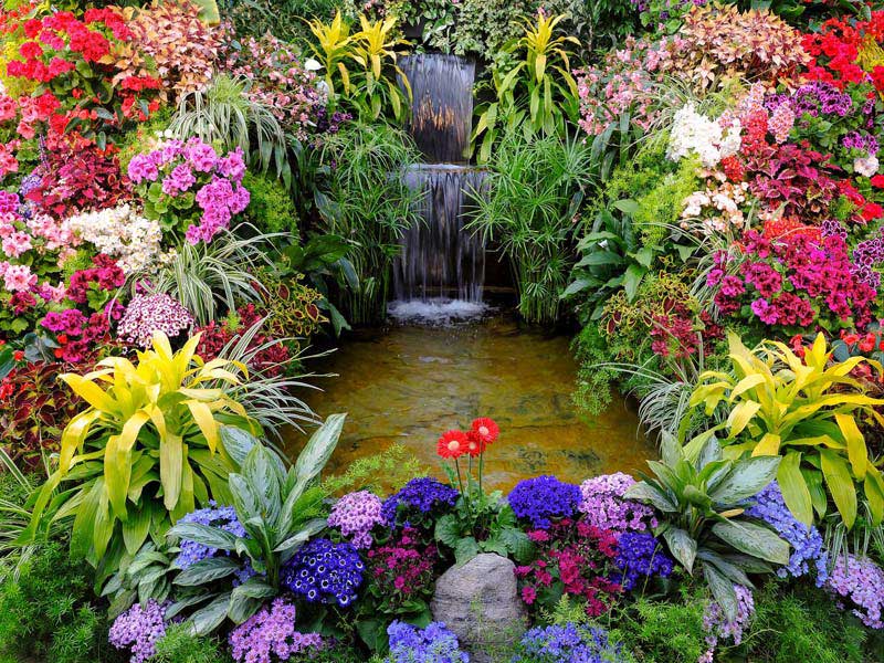 All seasons posters Watervalletje met bloem 80x60 80 x 60 cm - 
