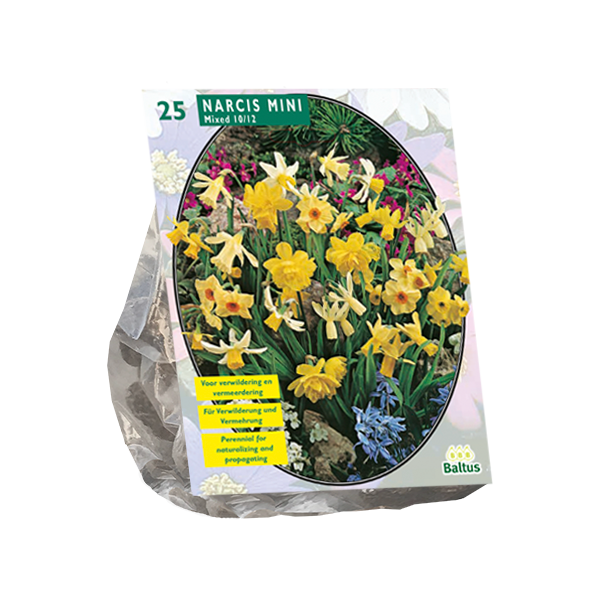 Narcis Mini Mix per 25 bloembollen Baltus - Baltus