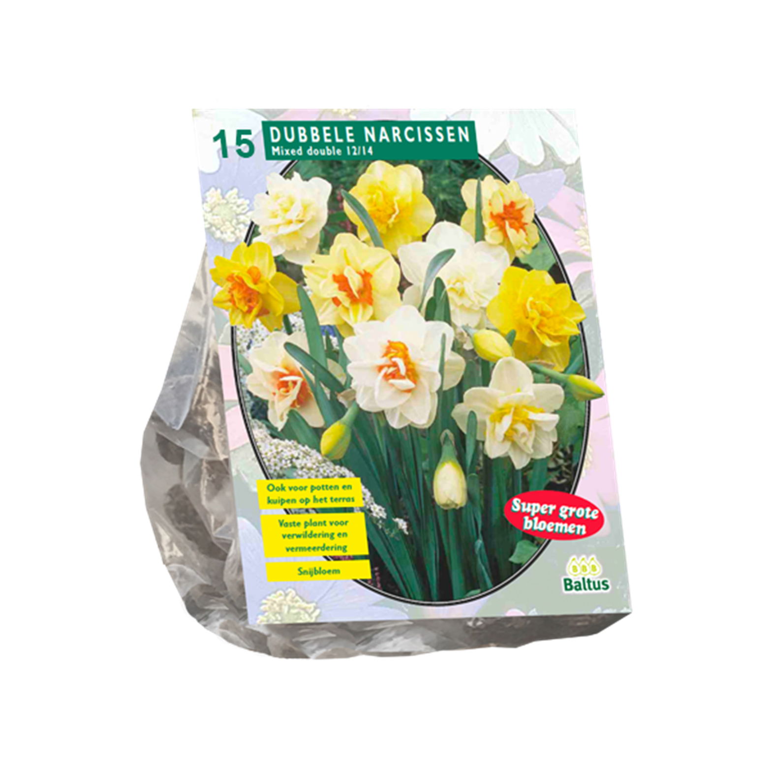 Bollen Narcis Dubbel mix 15 stuks - Baltus