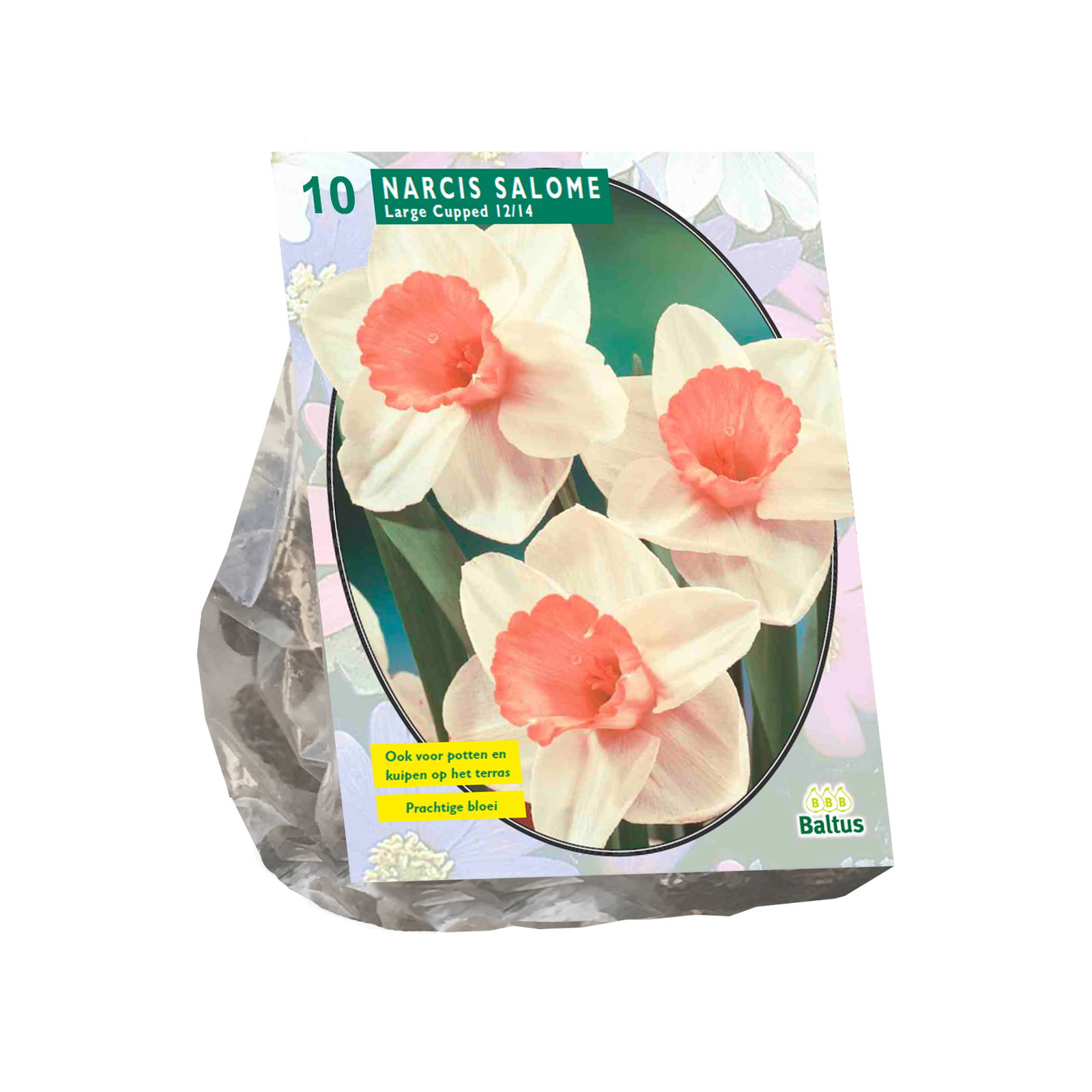 Bollen Narcis Salome 10 stuks - Baltus