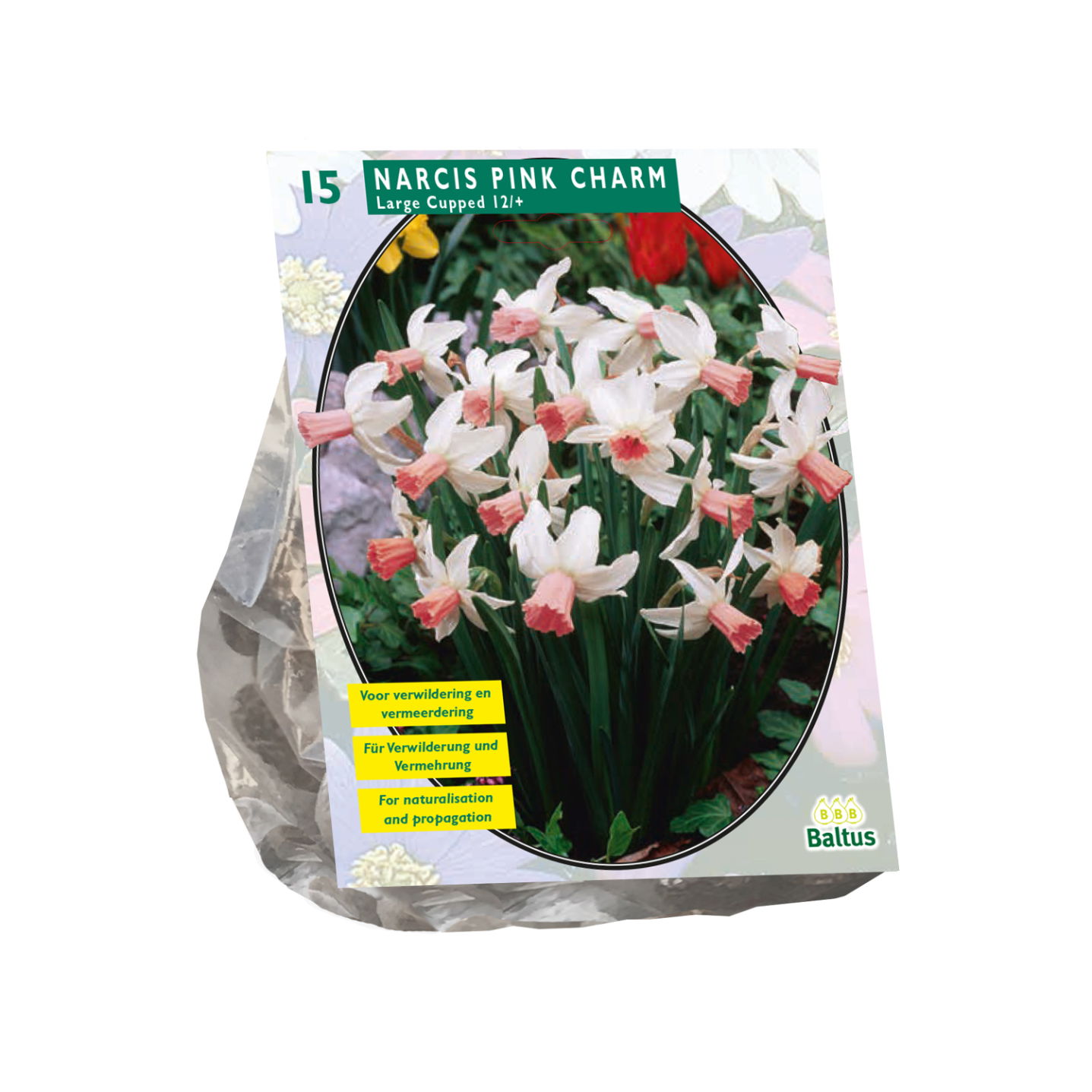 Bollen Narcis Pink Charm 15 stuks - Baltus