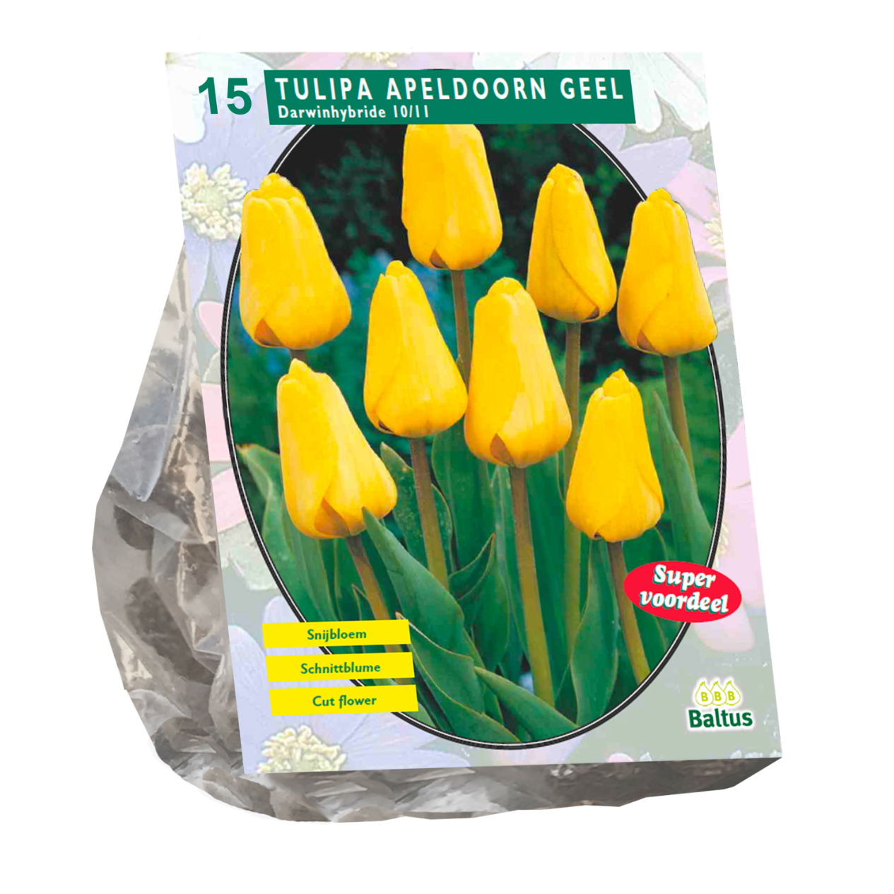 Bollen Tulipa Apeldoorn geel 15 stuks - Baltus