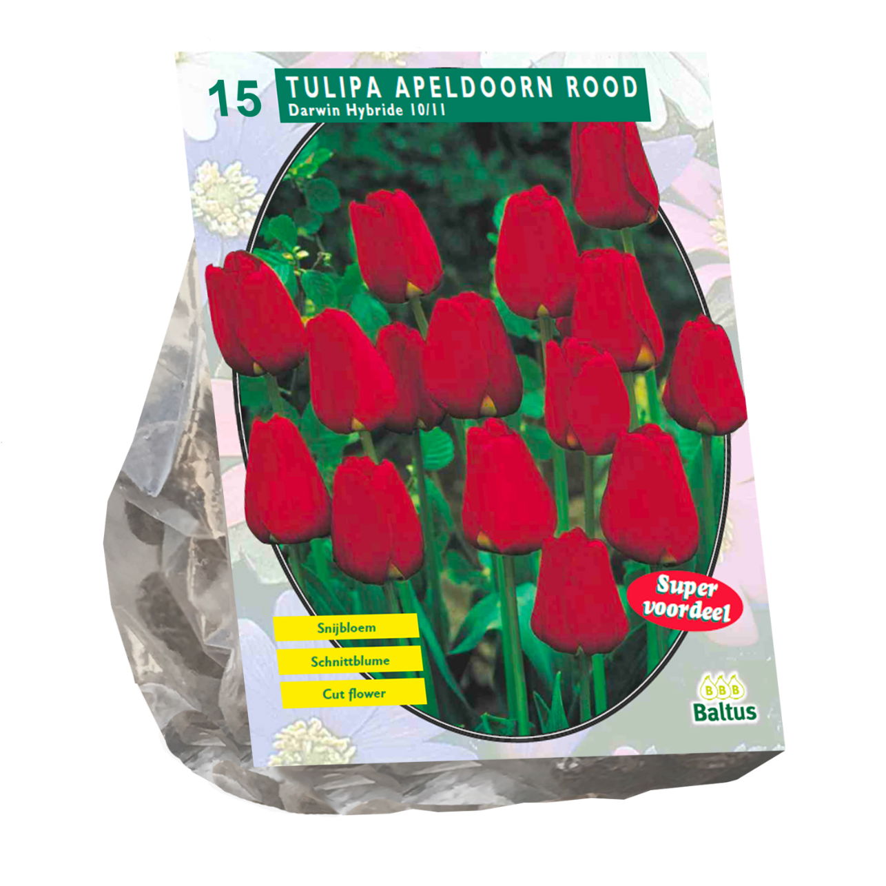 Bollen Tulipa Apeldoorn rood 15 stuks - Baltus