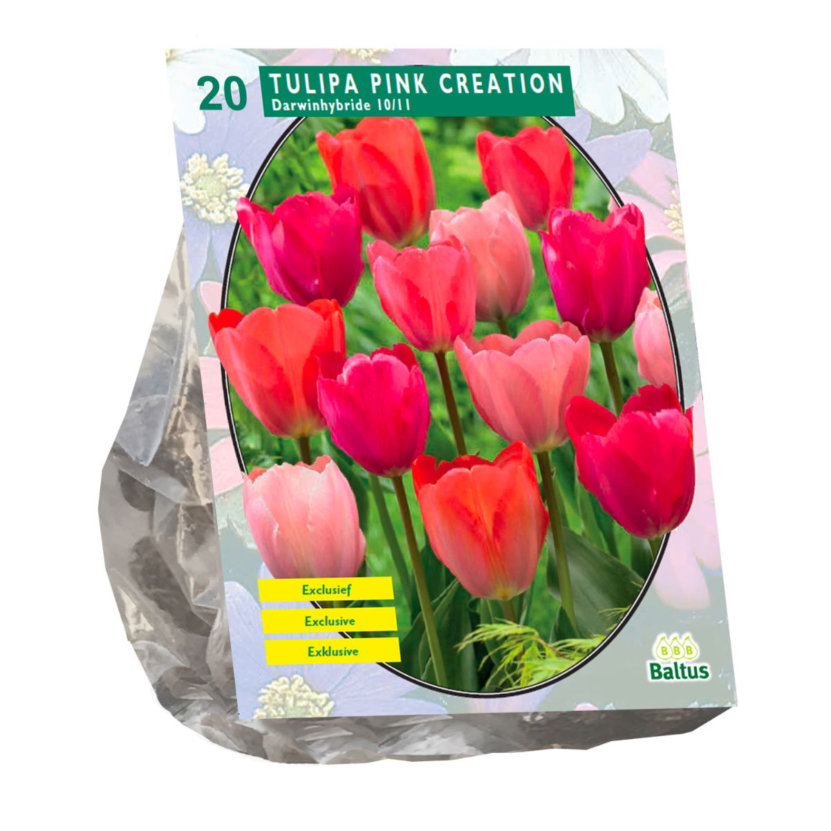 Bollen Tulipa Pink Creation 20 stuks - Baltus