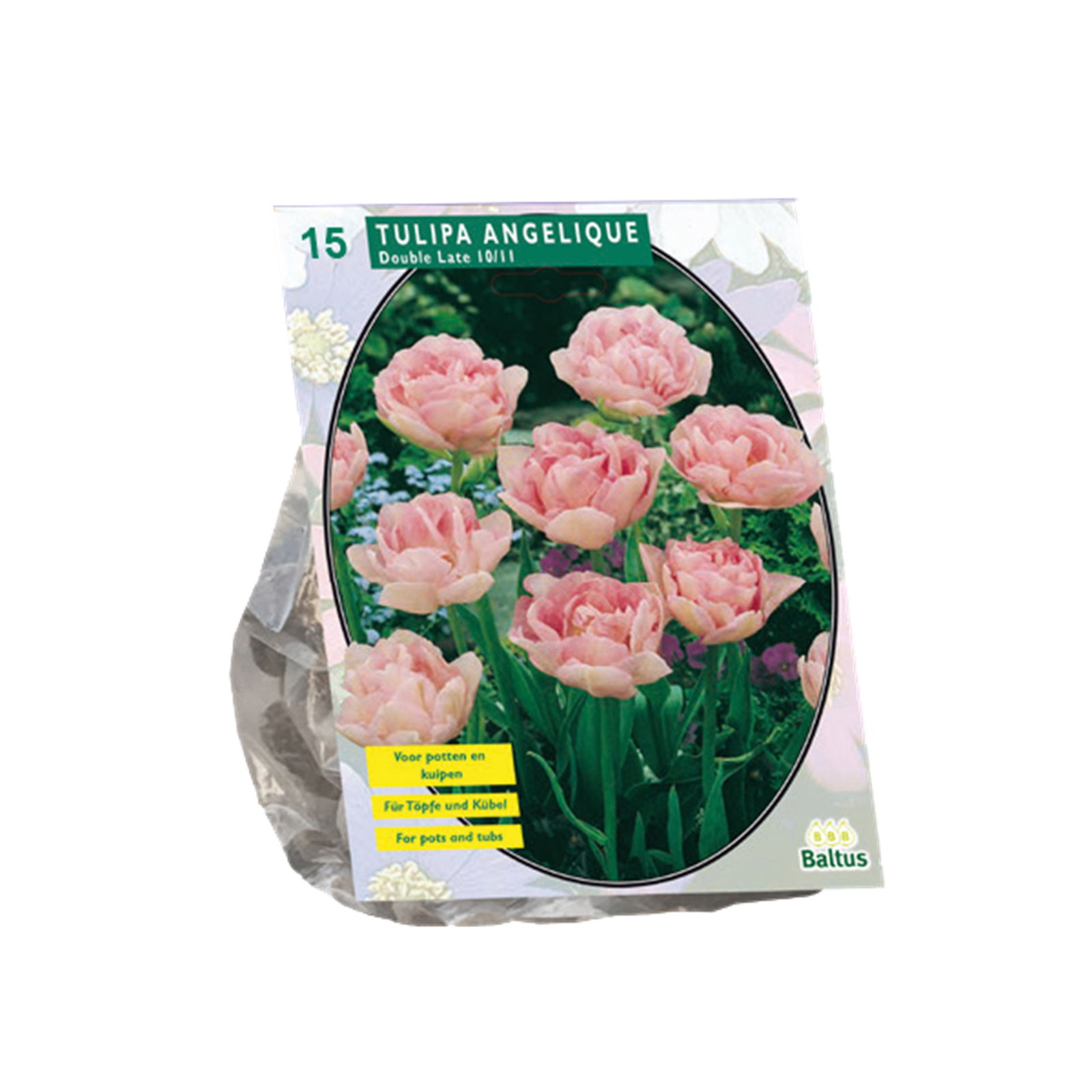 Bollen Tulipa Angelique 15 stuks - Baltus
