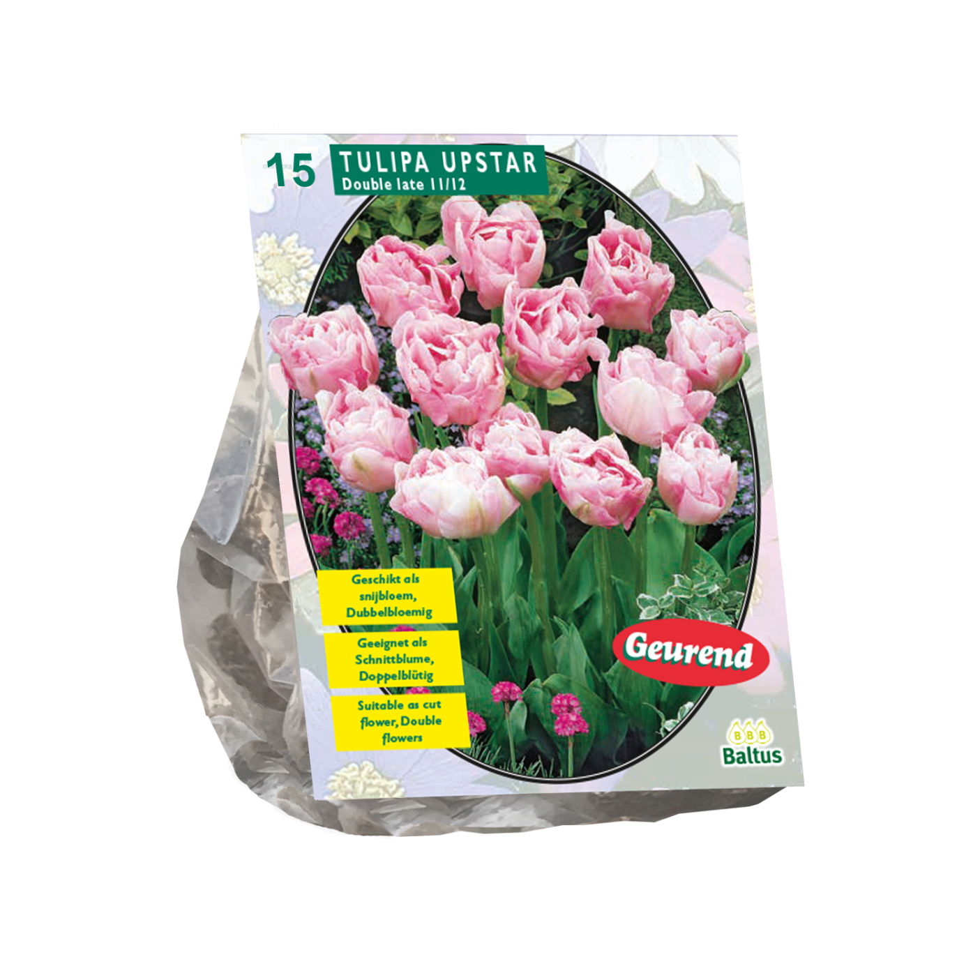 Bollen Tulipa Upstar 15 stuks - Baltus