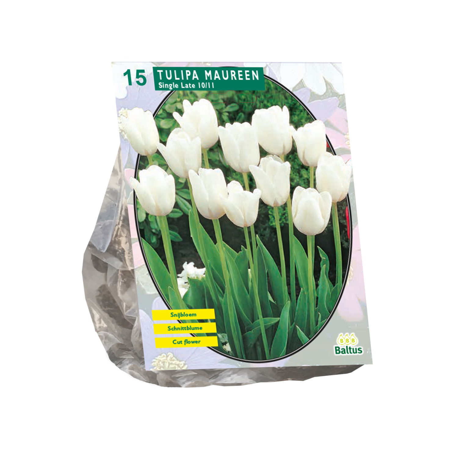 Bollen Tulipa Maureen 15 stuks - Baltus