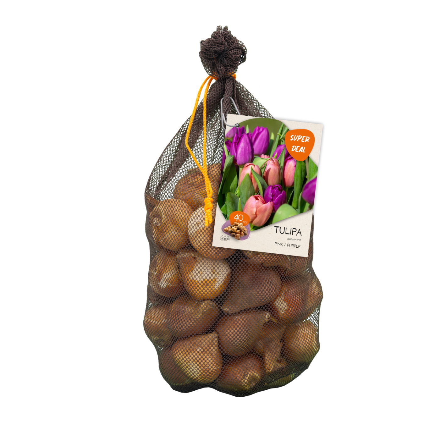 Bollen Tulipa Darwin mix roze/paars 40 stuks - Baltus