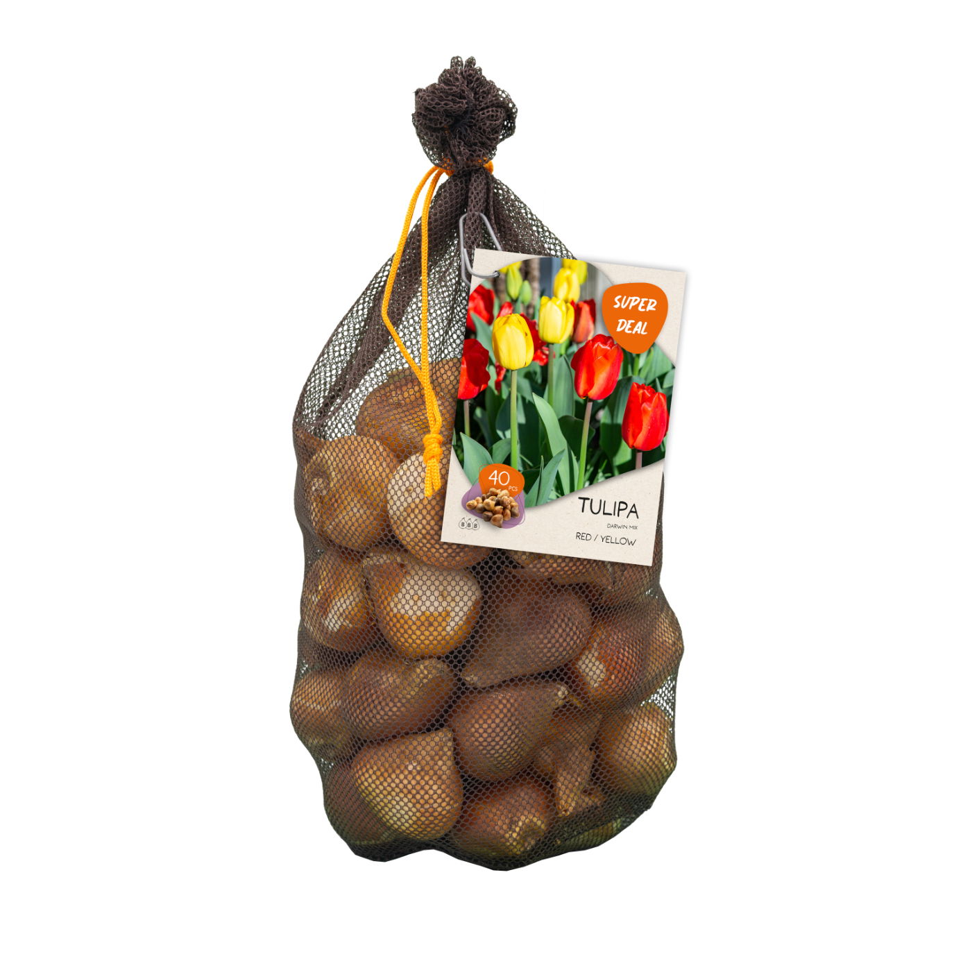 Bollen Tulipa Darwin mix rood/geel 40 stuks - Baltus