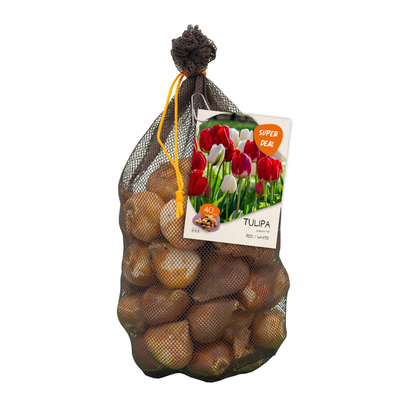 Bollen Tulipa Darwin mix rood/wit 40 stuks - Baltus
