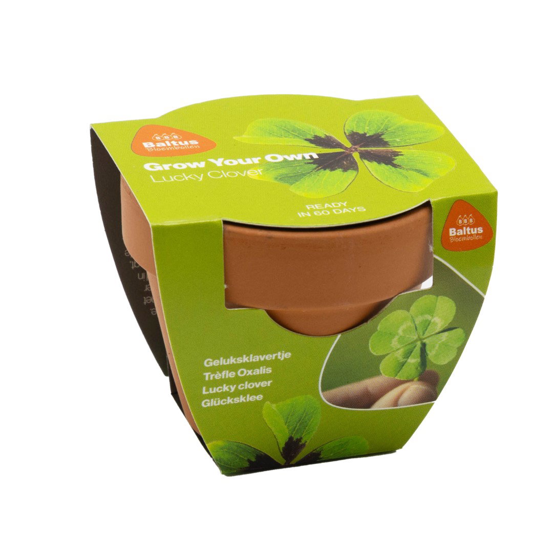 https://cdn.warentuin.nl/media/catalog/product/S/C/SCAN8719664028474_grow_your_own_lucky_clover_zadenpakket_bal_b3ed.jpg
