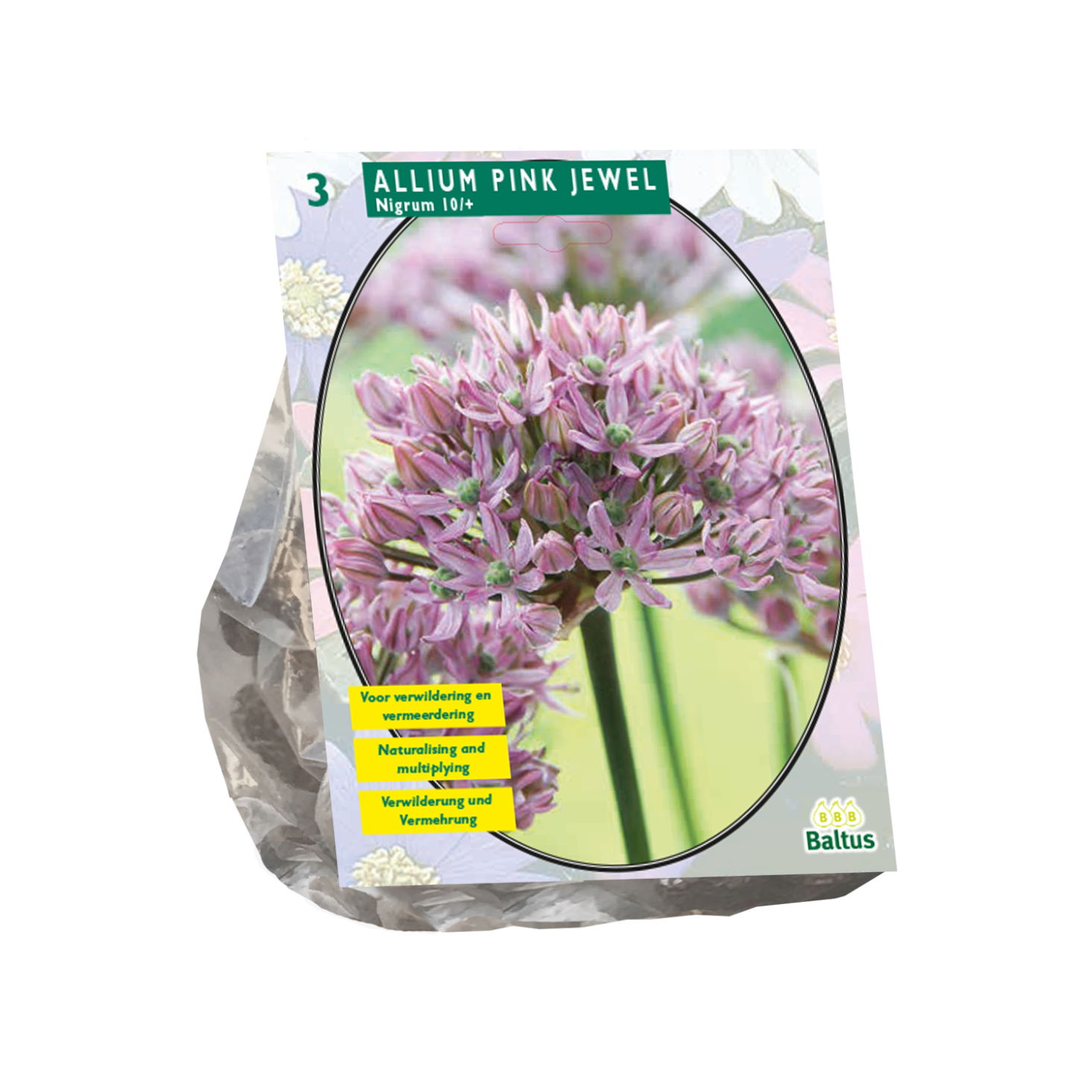 Bollen Allium Pink Jewel 3 stuks - Baltus