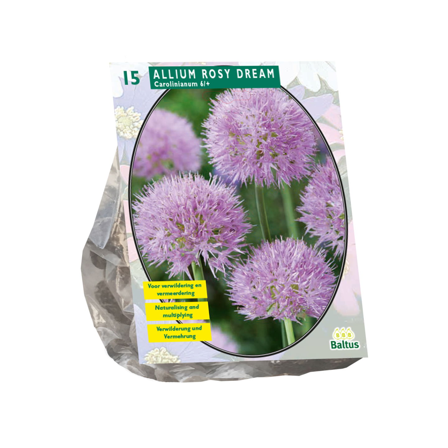 Bollen Allium Rosy Dreams 15 stuks - Baltus