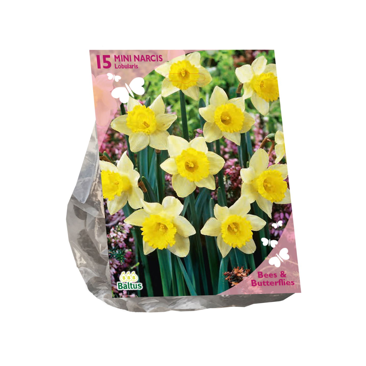 Bollen Narcis Lobularis 15 stuks - Baltus