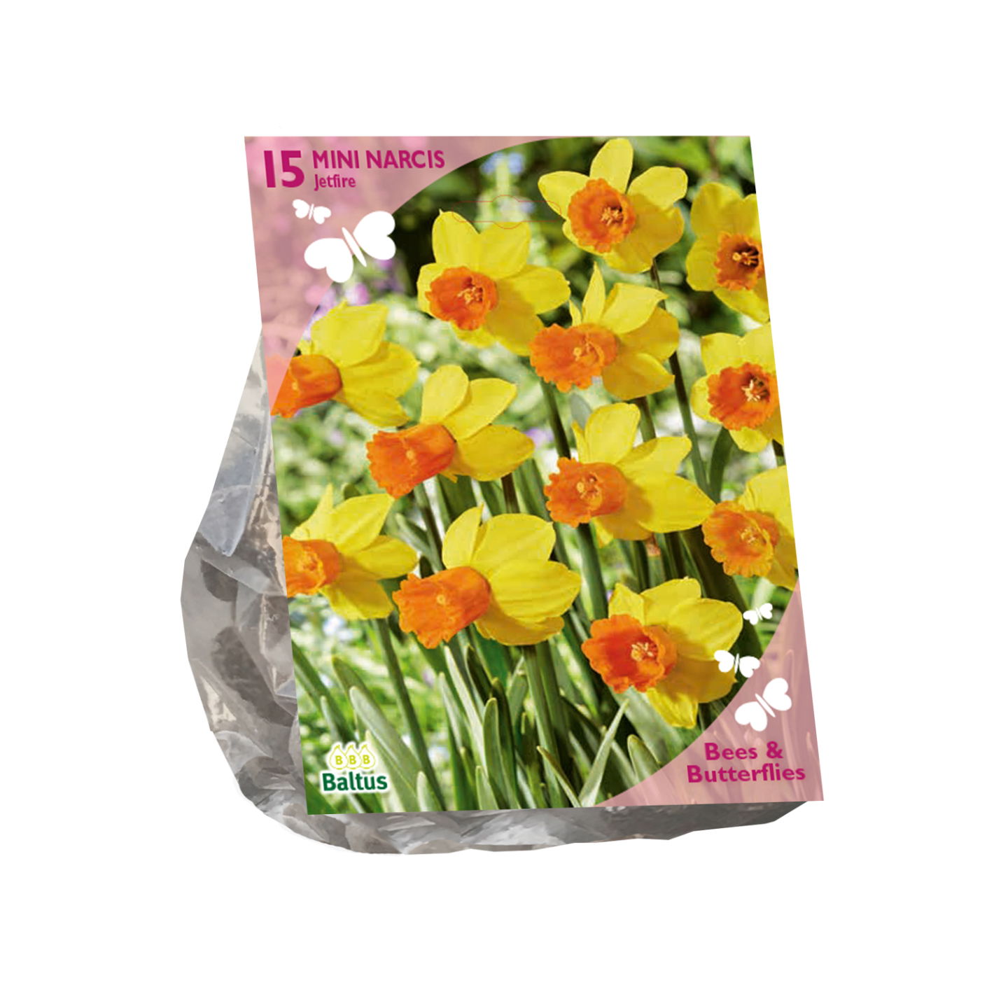 Bollen Narcis Jetfire 15 stuks - Baltus