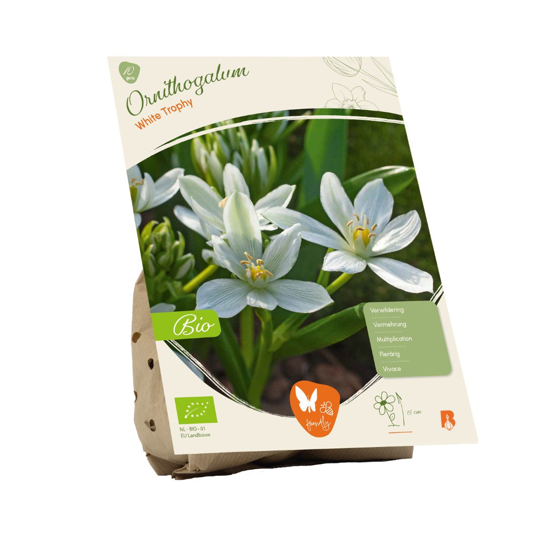 Ornithogalum White Trophy BIO 10 stuks bloembollen Baltus - Baltus