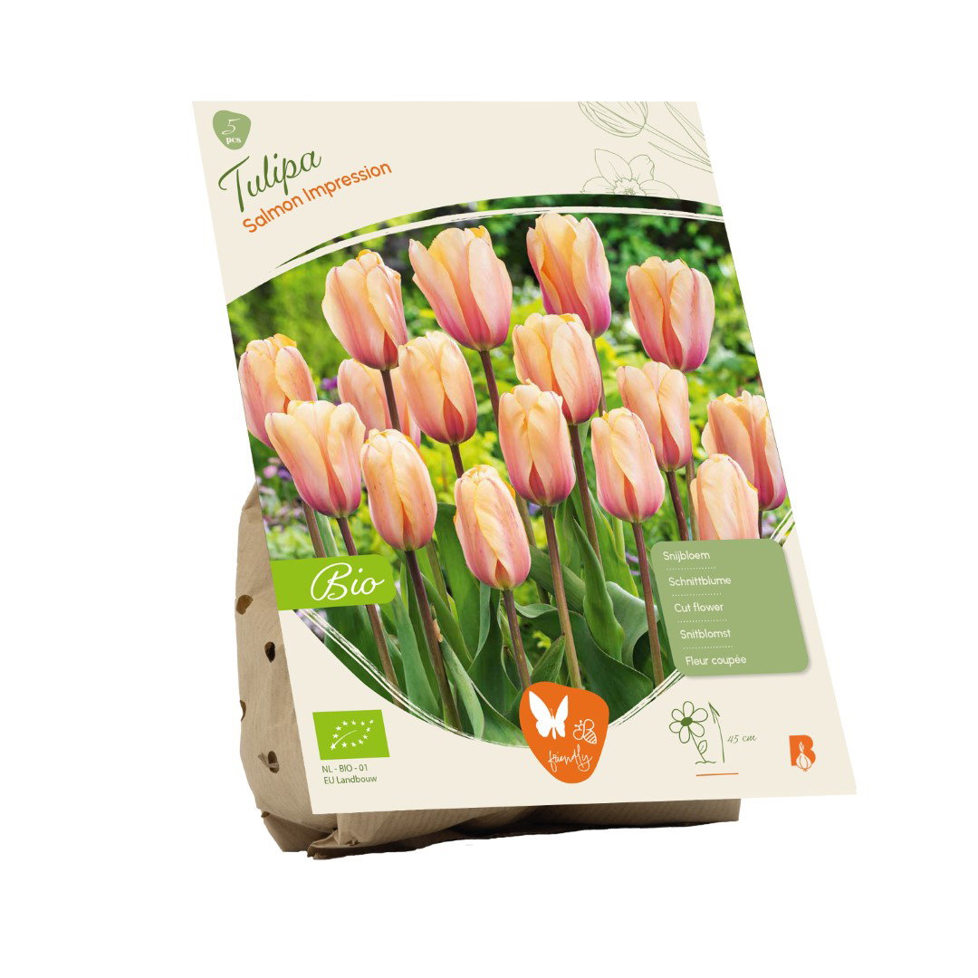 BIO Tulipa Salmon Impression 5 stuks bloembollen Baltus - Baltus