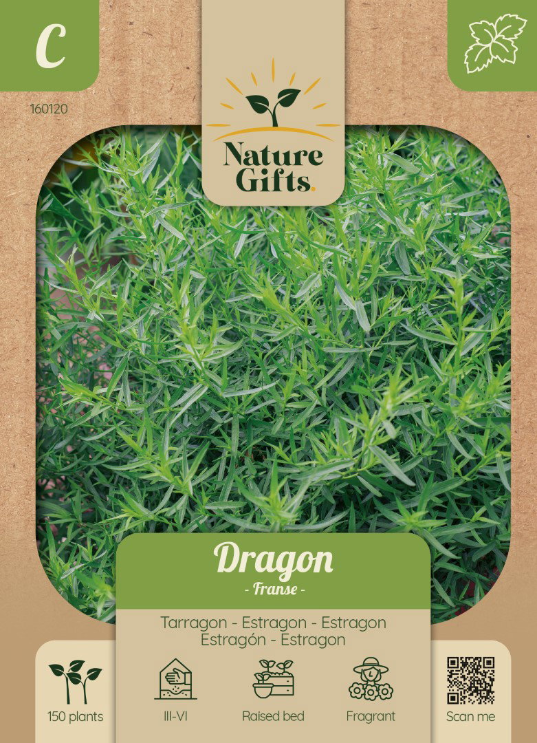 Dragon kruidenzaad Nature Gifts Baltus - Baltus