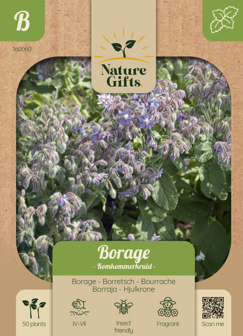 Borage Komkommerkruid kruidenzaad Nature Gifts Baltus - Baltus