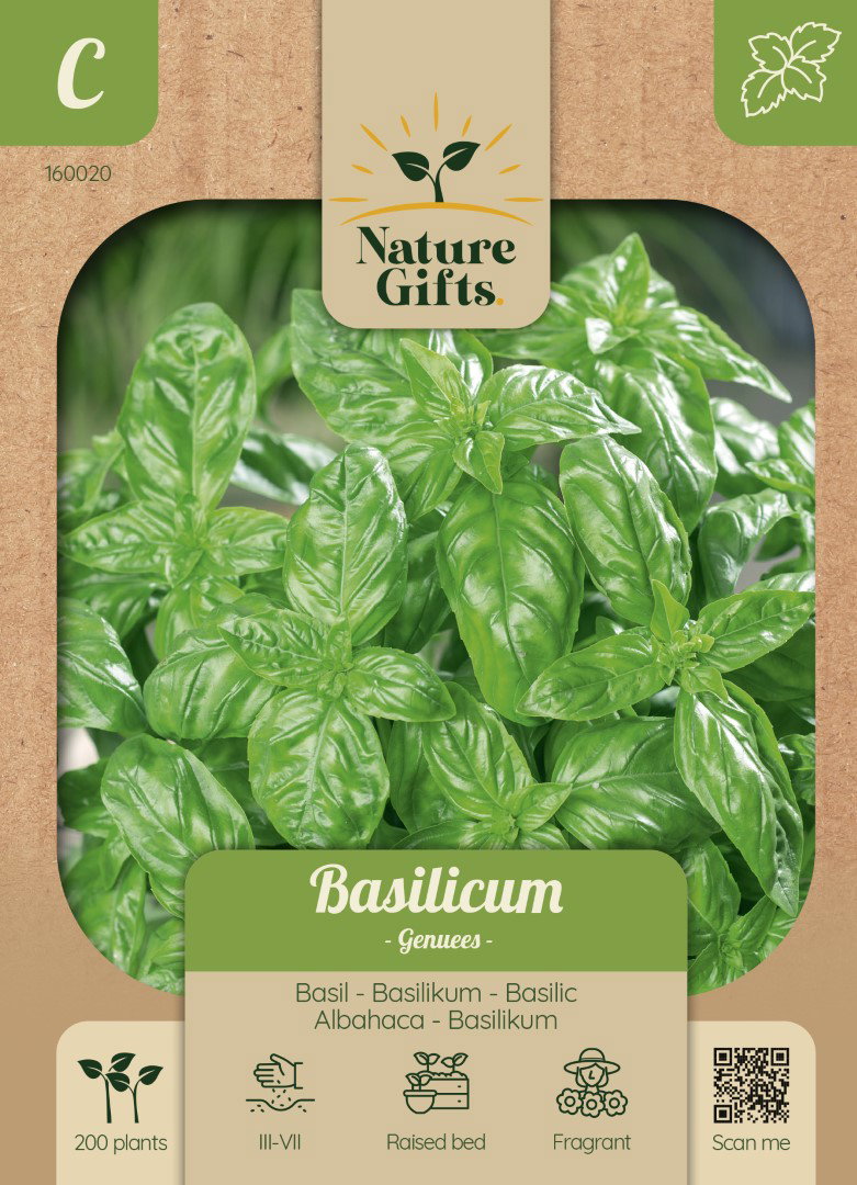 Basilicum Genuees kruidenzaad Nature Gifts Baltus - Baltus