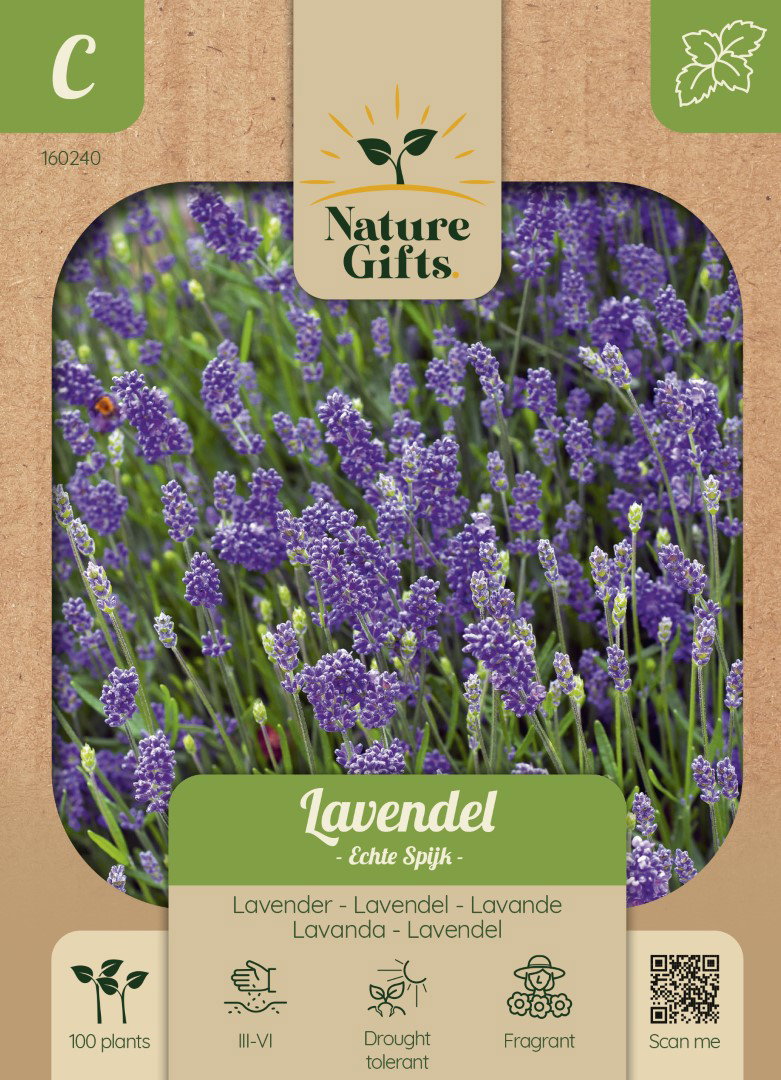 Lavendel Echte Spijk kruidenzaad Nature Gifts Baltus - Baltus