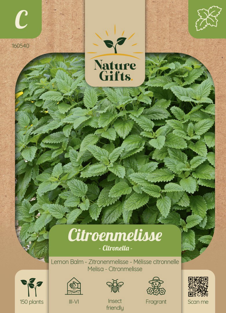 Citroenmelisse Citronella kruidenzaad Nature Gifts Baltus - Baltus