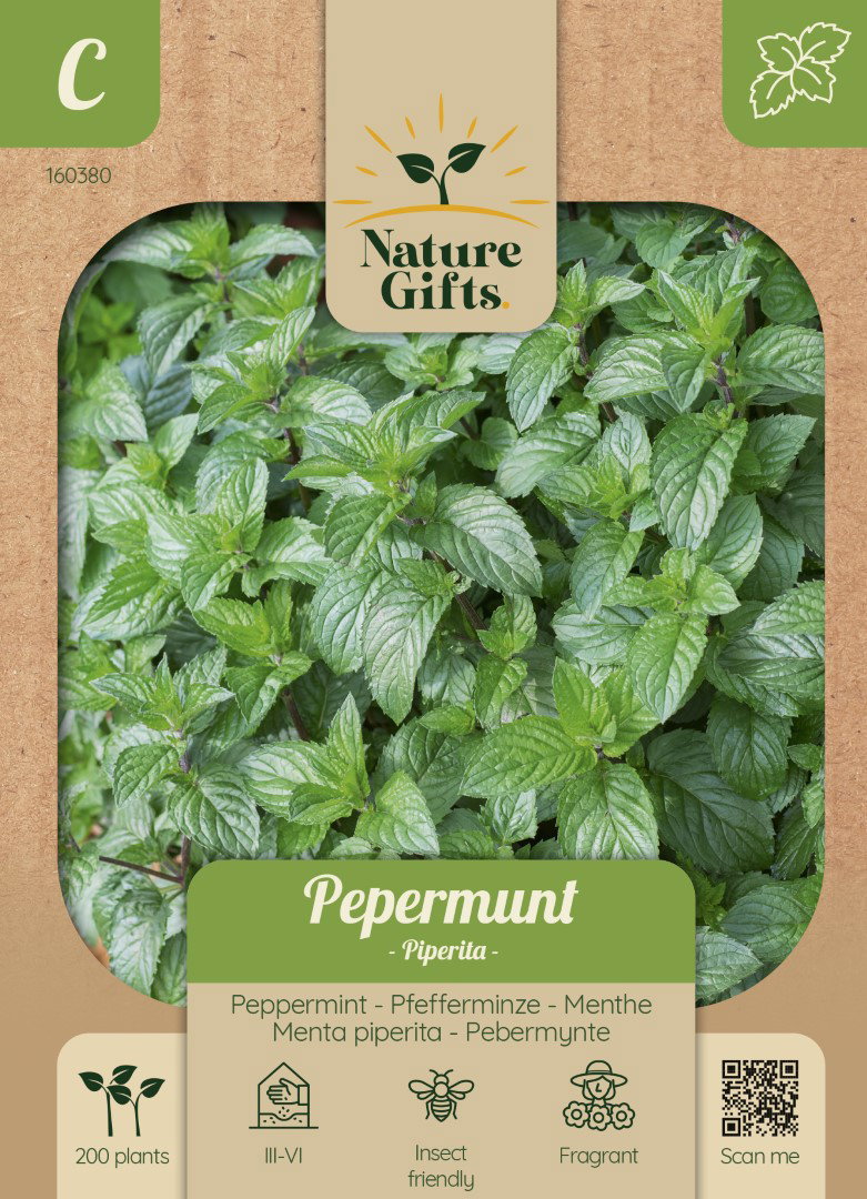 Pepermunt Piperita kruidenzaad Nature Gifts Baltus - Baltus