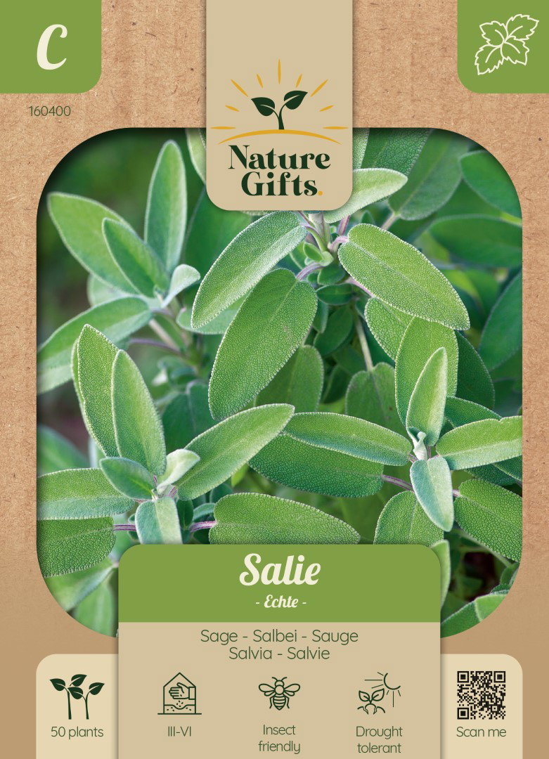 Salie Echte Salvia kruidenzaad Nature Gifts Baltus - Baltus