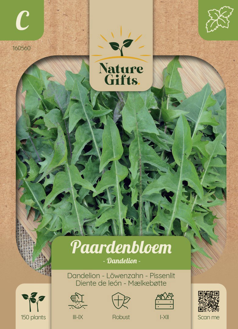 Paardenbloem Dandelion kruidenzaad Nature Gifts Baltus - Baltus