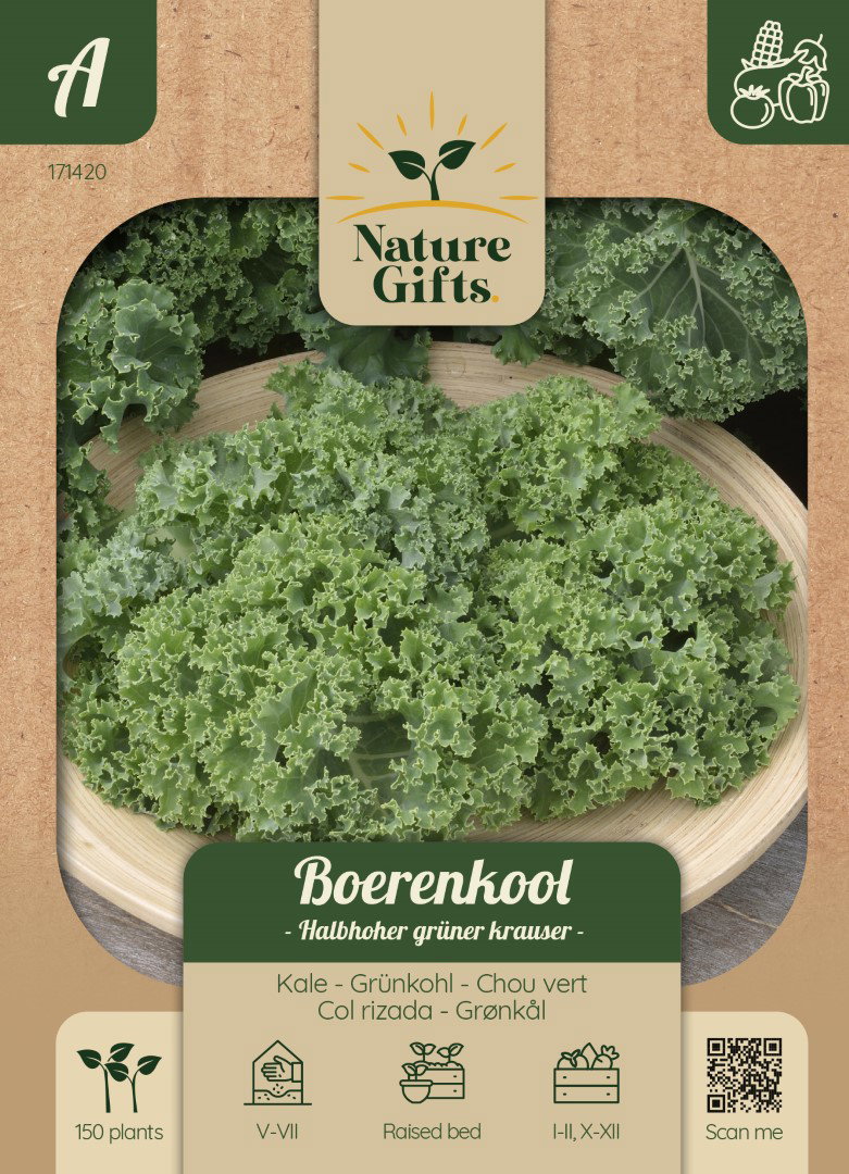 Boerenkool Halfhoge groene gekrulde groentenzaad Nature Gifts Baltus - Baltus