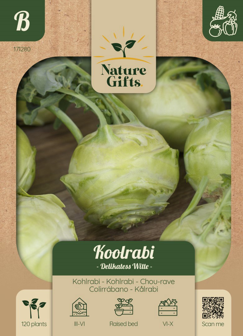 Koolrabi Delikatess Witte groentenzaad Nature Gifts Baltus - Baltus