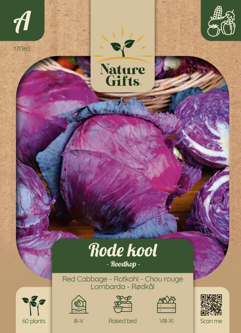 Rode kool Roodkop groentenzaad Nature Gifts Baltus - Baltus