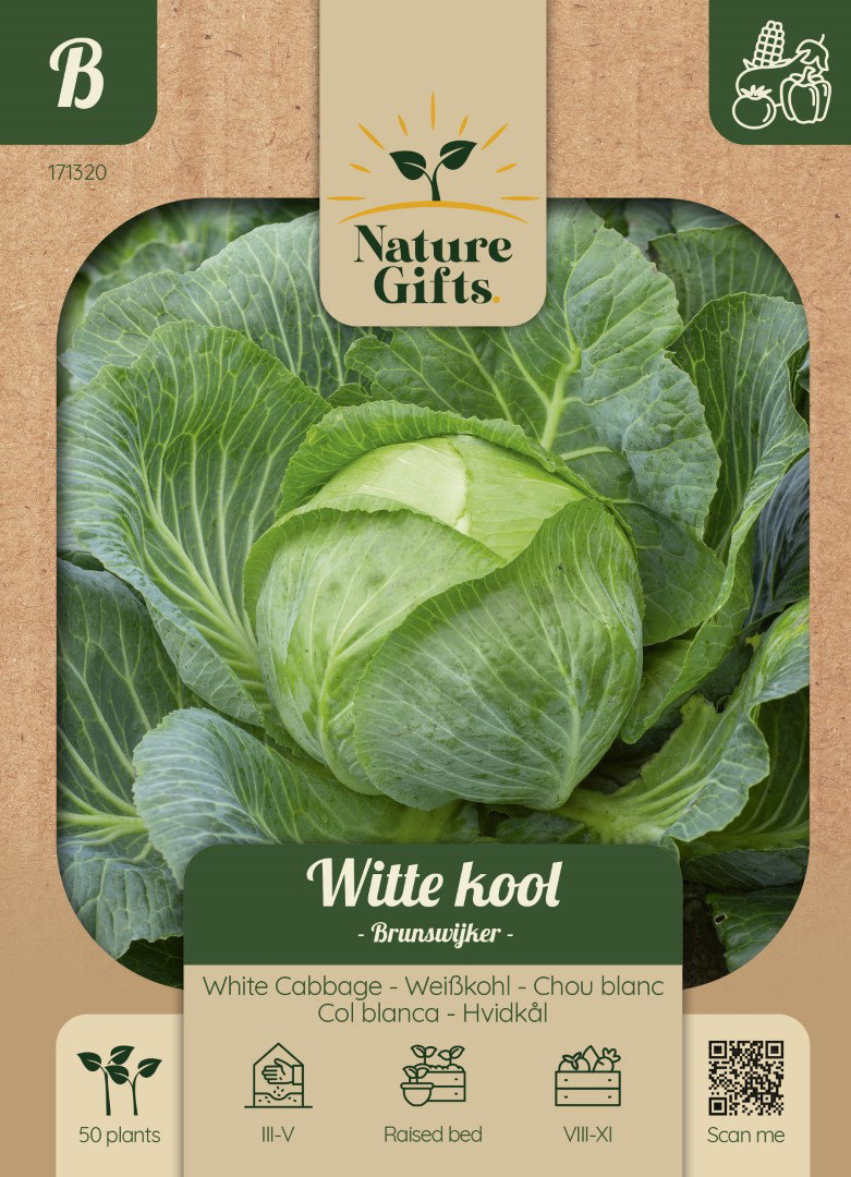 Witte kool Brunswijker groentenzaad Nature Gifts Baltus - Baltus