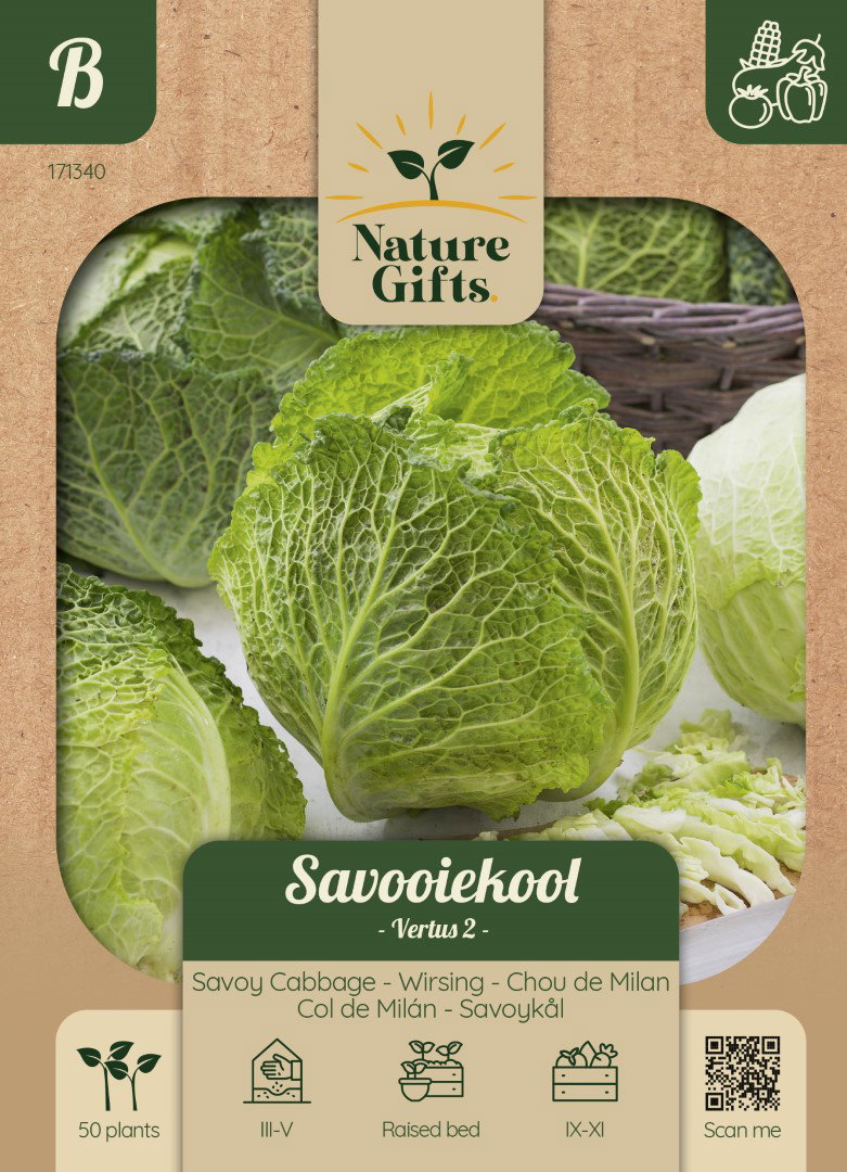 Savooiekool Vertus 2 groentenzaad Nature Gifts Baltus - Baltus
