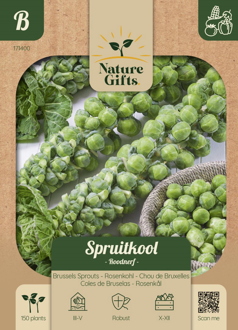 Spruitkool Roodnerf groentenzaad Nature Gifts Baltus - Baltus