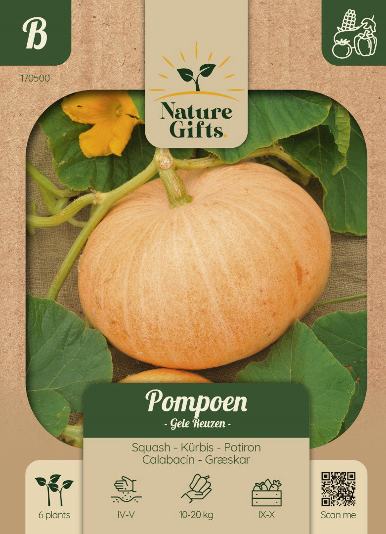 Pompoen Gele Reuzen groentenzaad Nature Gifts Baltus - Baltus