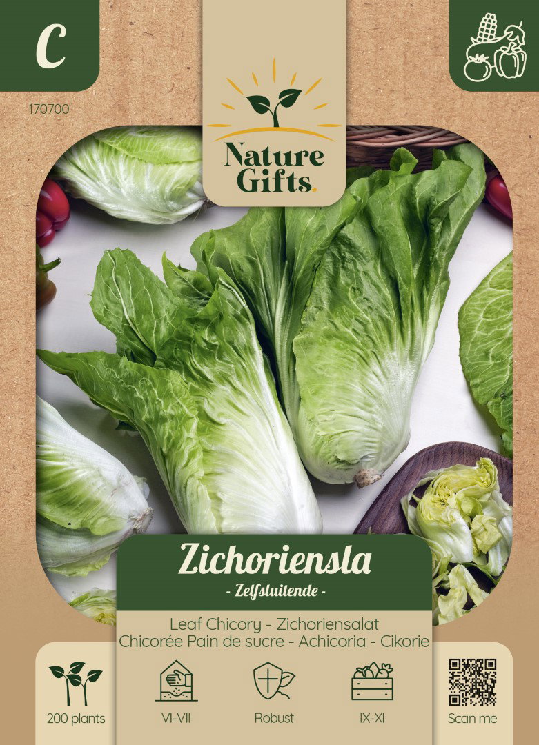 Zichoriensla Herfstsla groentenzaad Nature Gifts Baltus - Baltus