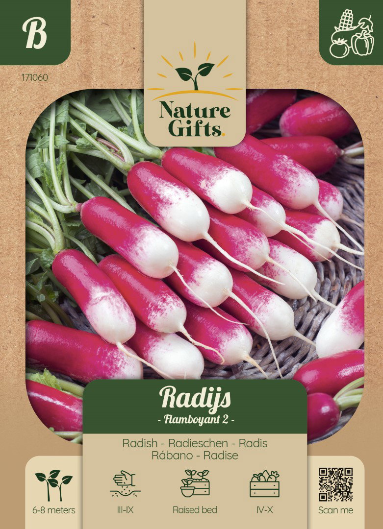 Radijs Flamboyant 2 groentenzaad Nature Gifts Baltus - Baltus