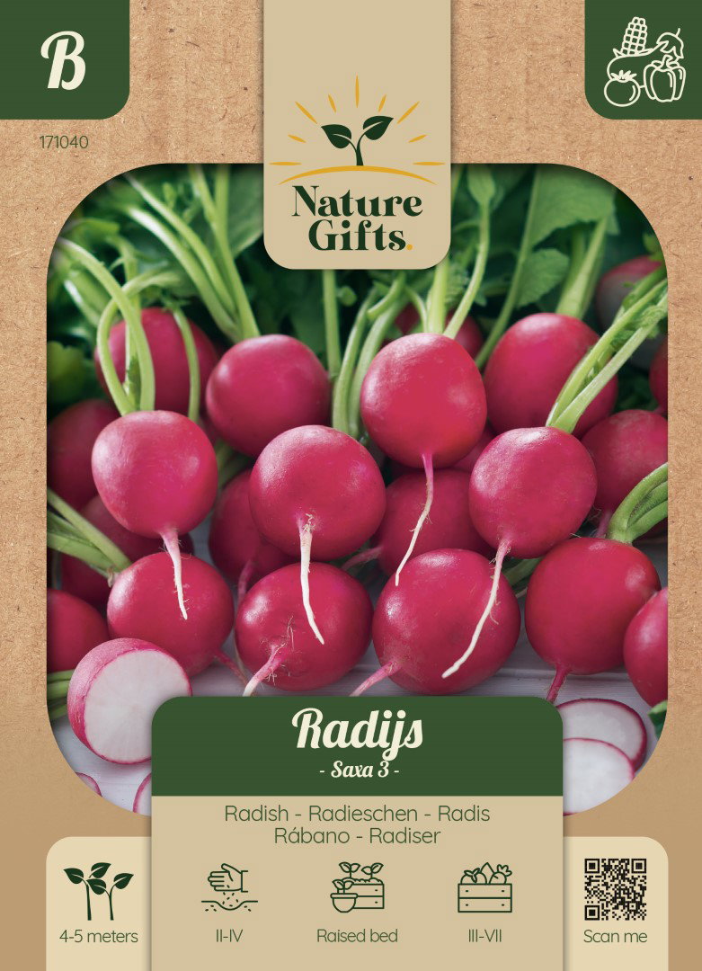 Radijs Saxa groentenzaad Nature Gifts Baltus - Baltus